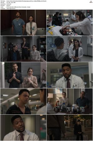 New Amsterdam 2018 S01-S05 1080p WEBRip EAC3 5.1 x265-iVy
