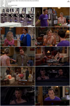 The Big Bang Theory S01 S12 SUPER-PACK Bluray 720p x265-BMF