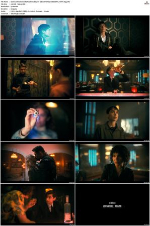 The Umbrella Academy S01-S04 1080p NF WEBRip 10Bit DDP5.1 HEVC-d3g