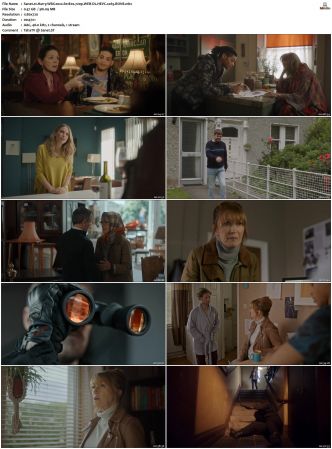 Harry Wild 2022 S01 S03 720p WEB-DL HEVC x265 BONE