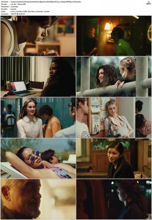 Euphoria S01 S02 WEBRip EAC3 5 1 1080p x265-iVy