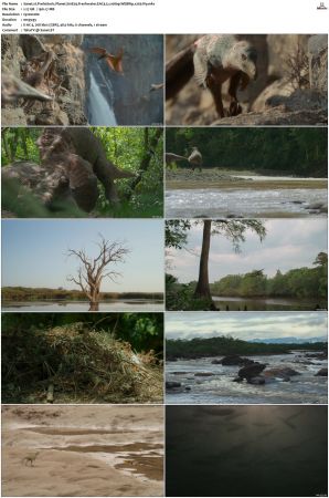 Prehistoric Planet S01-S02 1080p WEBRip EAC3 5.1 x265-iVy