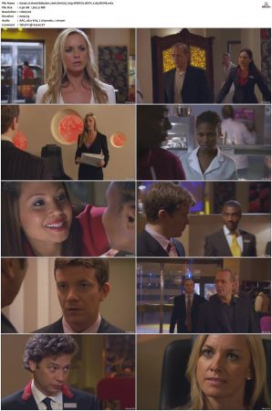 Hotel Babylon 2006 S01 S04 720p WEB-DL HEVC x265 BONE