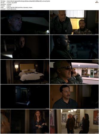 Bosch Legacy S01 S02 SUPER-PACK 1080p AMZN WEBRip DDP 5 1 x265-iVy