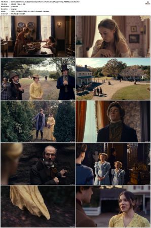 Dickinson S01 S03 SUPER-PACK WEBRip EAC3 5 1 1080p x265-iVy