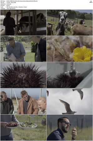Field Trip With Curtis Stone S01 1080p WEB H264-CBFM