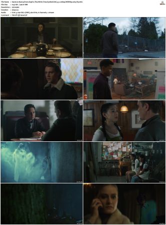 Nancy Drew S01-S04 1080p WEBRip EAC3 5.1 x265-iVy