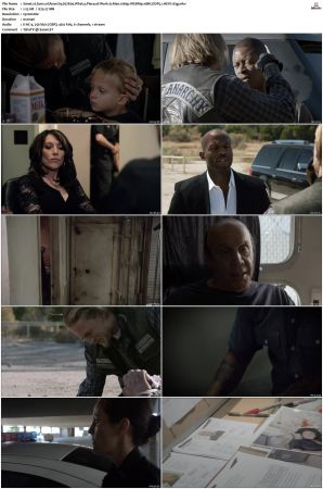 Sons of Anarchy S01-S07 SUPER-PACK 1080p WEBRip 10Bit DDP5.1 HEVC-d3g