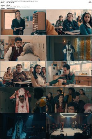 A.P. Bio S01 S04 WEBRip EAC3 5 1 1080p x265-iVy