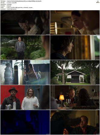 The Dry 2022 S01 S02 WEBRip EAC3 2 0 1080p x265-iVy