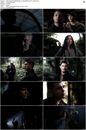 Supernatural S01 S15 WEBRip EAC3 2 0 1080p x265-iVy