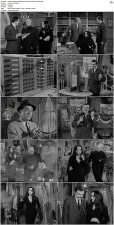 The Addams Family 1964 S01-S02 DVDRip X264-NGP