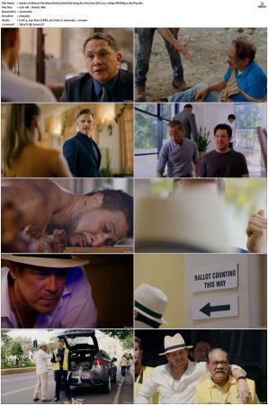 Almost Paradise S01 S02 WEBRip EAC3 5 1 1080p x265-iVy