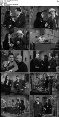 The Addams Family 1964 S01-S02 DVDRip X264-NGP