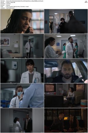 New Amsterdam 2018 S01-S05 1080p WEBRip EAC3 5.1 x265-iVy