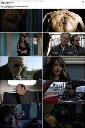 Sons of Anarchy S01-S07 SUPER-PACK 1080p WEBRip 10Bit DDP5.1 HEVC-d3g