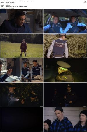 Wellington Paranormal S01 S04 720p BluRay H265 BONE