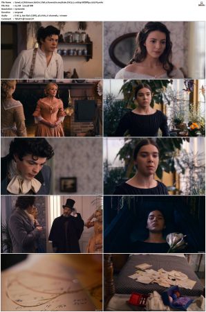 Dickinson S01 S03 SUPER-PACK WEBRip EAC3 5 1 1080p x265-iVy