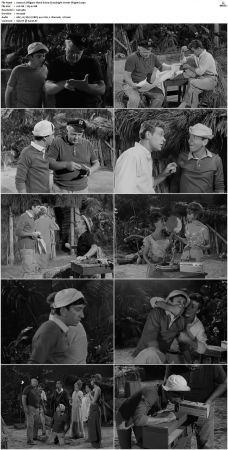 Gilligans Island S01 S03 DVDRip H264-NGP