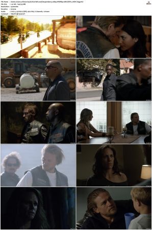 Sons of Anarchy S01-S07 SUPER-PACK 1080p WEBRip 10Bit DDP5.1 HEVC-d3g