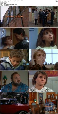 21 Jump Street S01 S05 WEB-DL H 264-JiTB