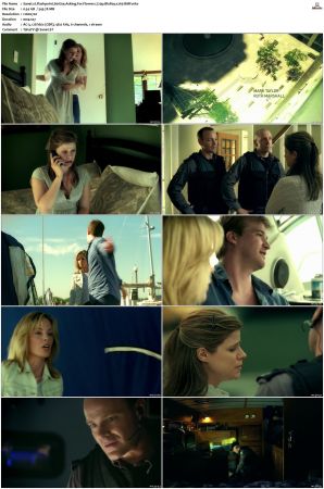 Flashpoint S01 S05 SUPER-PACK 720p BluRay x265-BMF