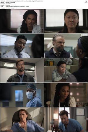 New Amsterdam S01 S05 WEBRip EAC3 5 1 1080p x265-iVy