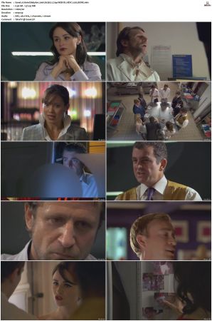 Hotel Babylon 2006 S01 S04 720p WEB-DL HEVC x265 BONE