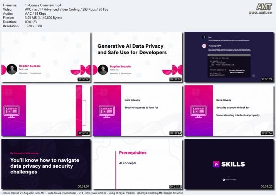 Generative AI Data Privacy and Safe Use for Developers