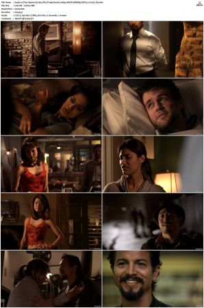 The Cleaner S01 S02 1080p AMZN WEBRip DDP 5 1 x265-iVy
