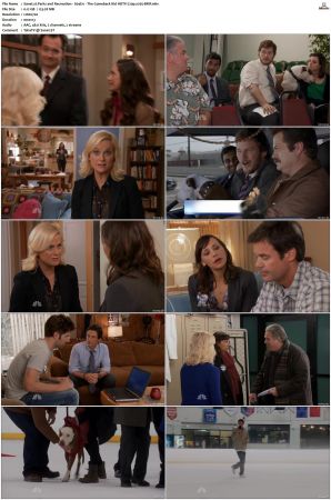 Parks and Recreation S01-S07 SUPER-PACK 720p HDTV-WEB AAC x265-BMF