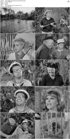 Gilligans Island S01 S03 DVDRip H264-NGP