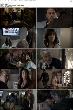 Sons of Anarchy S01-S07 SUPER-PACK 1080p WEBRip 10Bit DDP5.1 HEVC-d3g