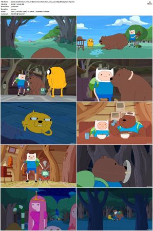 Adventure Time 2008 S01-S10 + Fionna and Cake 1080p Bluray EAC3 2.0 x265-iVy