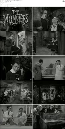 The Munsters 1964 S01 S02 DVDRip MPEG-NGP