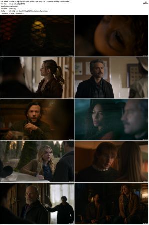 Big Sky S01 S03 WEBRip EAC3 5 1 1080p x265-iVy