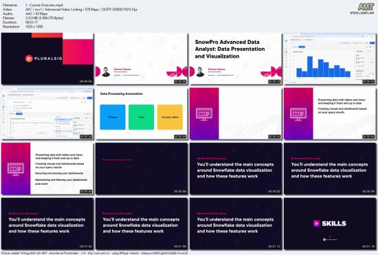 SnowPro Advanced Data Analyst: Data Presentation and Visualization