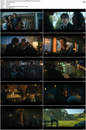 The Umbrella Academy S01-S04 1080p NF WEBRip 10Bit DDP5.1 HEVC-d3g