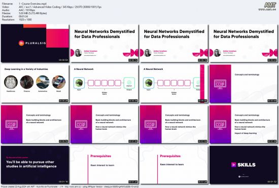 Neural Networks Demystified for Data Professionals