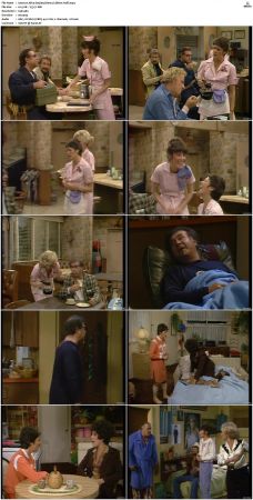 Alice S01-S09 480p DVDRip AAC2.0 x264-NGP