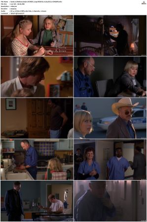 Medium S03 NORDiC 720p WEB-DL H 265 DD2 0-CiNEMiX