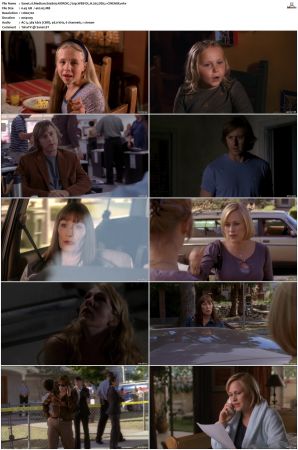 Medium S04 NORDiC 720p WEB-DL H 265 DD5.1-CiNEMiX
