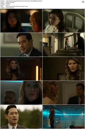 Quantum Leap 2022 S01 S02 1080p AMZN WEBRip DDP 5 1 x265-iVy