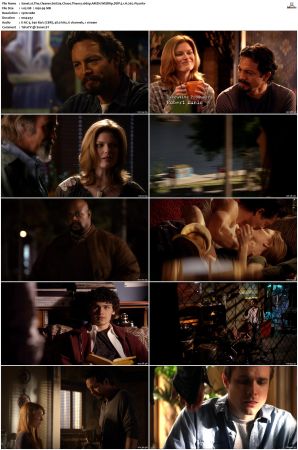 The Cleaner S01 S02 1080p AMZN WEBRip DDP 5 1 x265-iVy