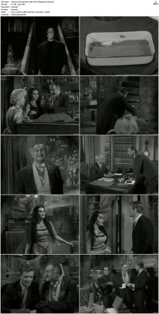 The Munsters 1964 S01 S02 DVDRip MPEG-NGP