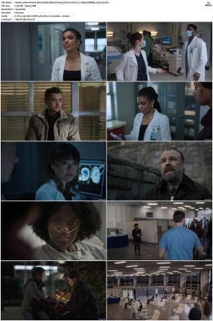 New Amsterdam 2018 S01-S05 1080p WEBRip EAC3 5.1 x265-iVy