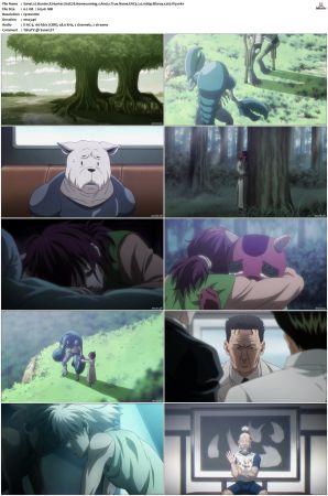 Hunter X Hunter S01-S03 Bluray EAC3 2 0 1080p x265-iVy