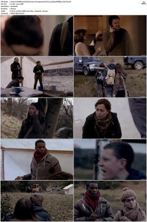 Wolfblood S01 S05 WEBRip EAC3 2 0 1080p x265-iVy