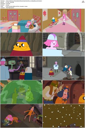 Adventure Time 2008 S01-S10 + Fionna and Cake 1080p Bluray EAC3 2.0 x265-iVy
