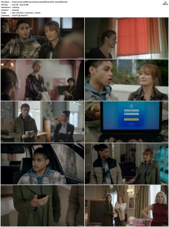 Harry Wild 2022 S01 S03 720p WEB-DL HEVC x265 BONE